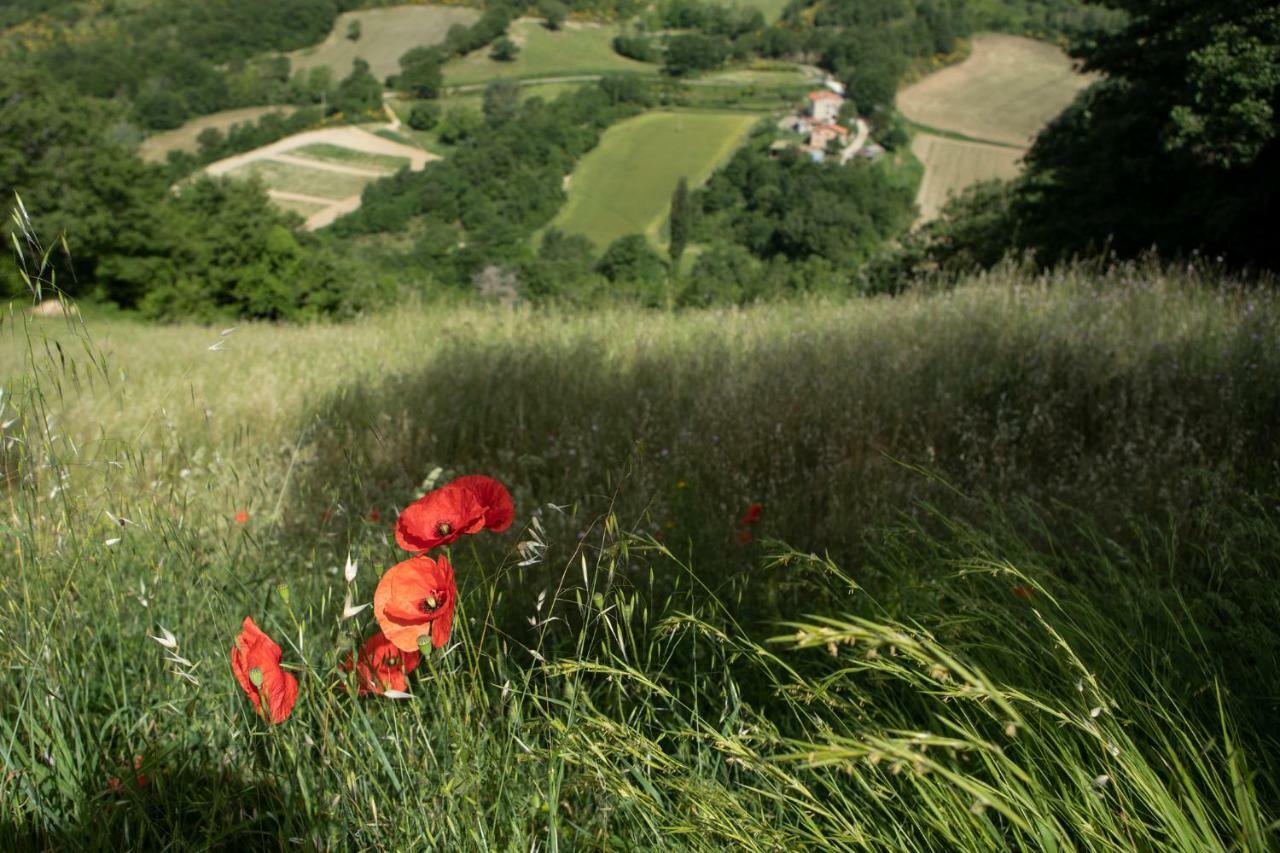 Willa Il Monte Pietralunga  Zewnętrze zdjęcie